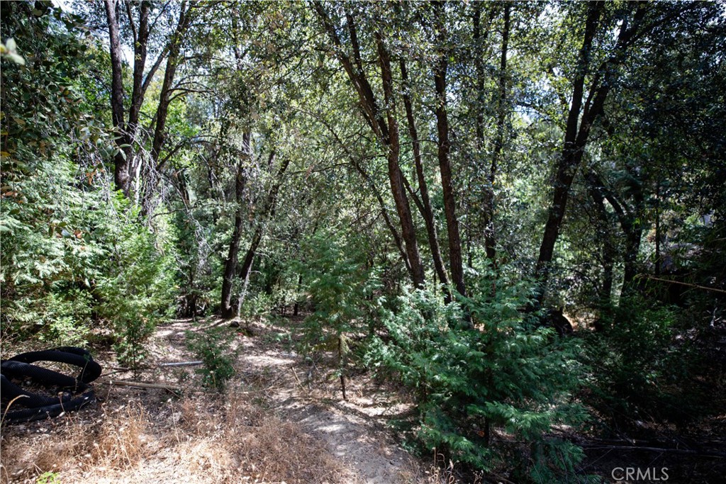 21871 Fallview, Sonora, CA 95370