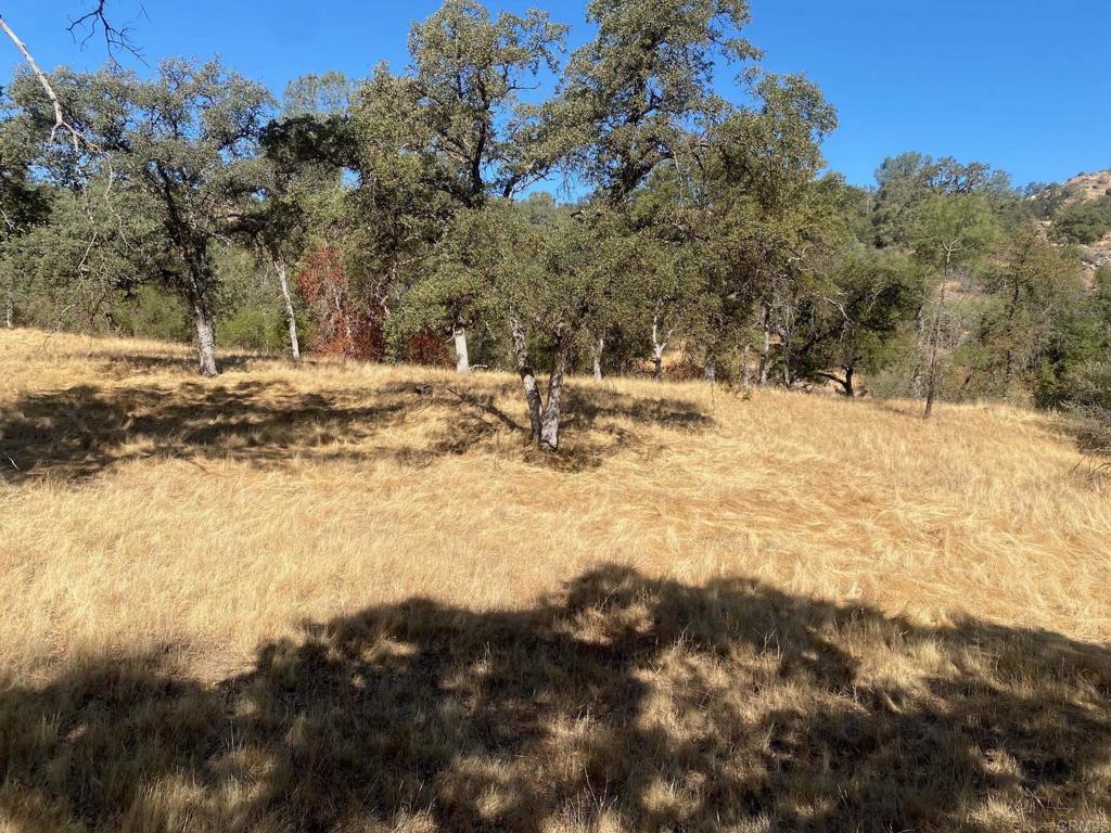 8 Tioga Dr, Coarsegold, CA 93614