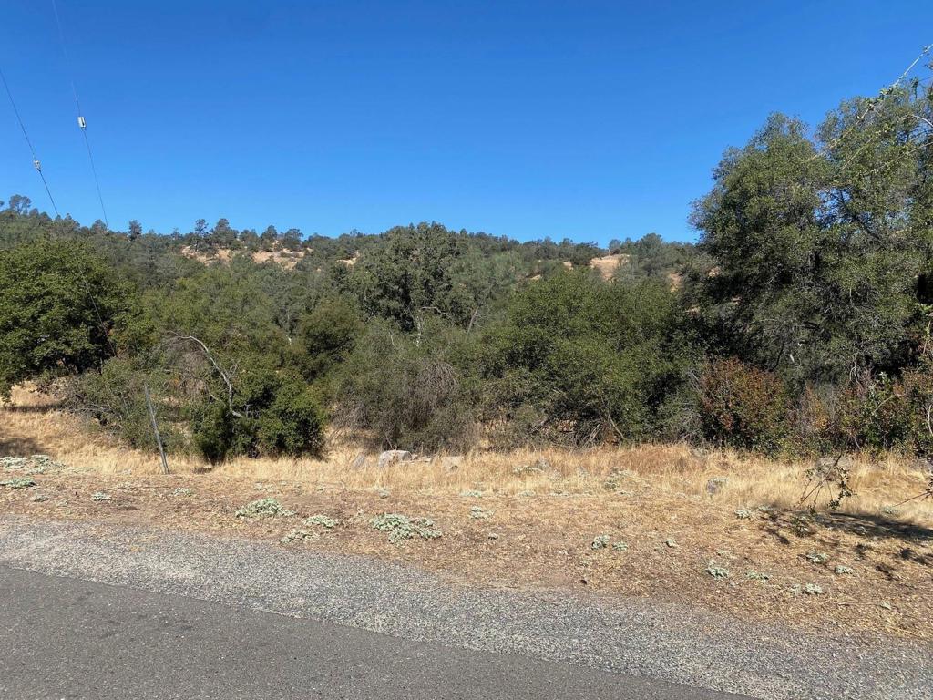 8 Tioga Dr, Coarsegold, CA 93614