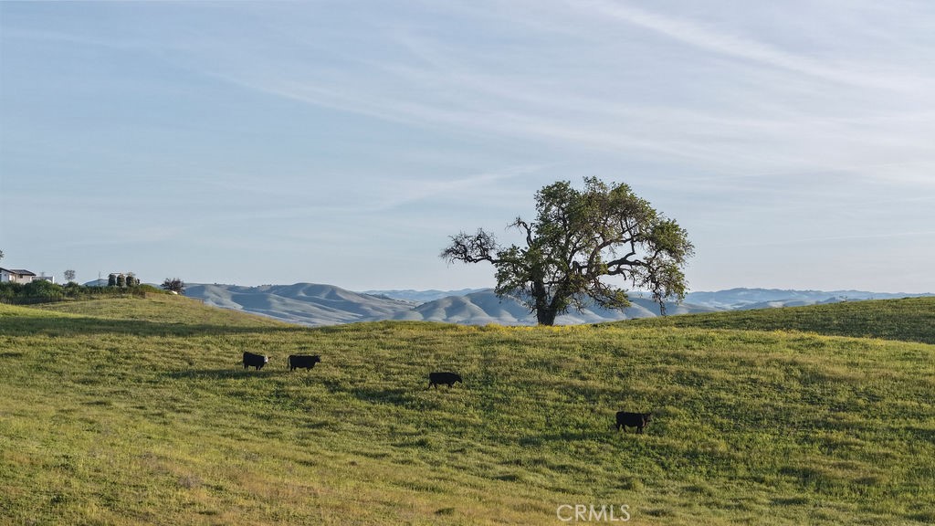 35 Wellsona Rd, Paso Robles, CA 93446