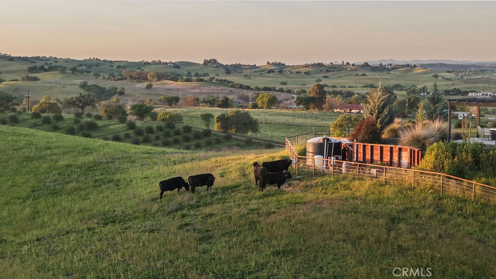 35 Wellsona Rd, Paso Robles, CA 93446