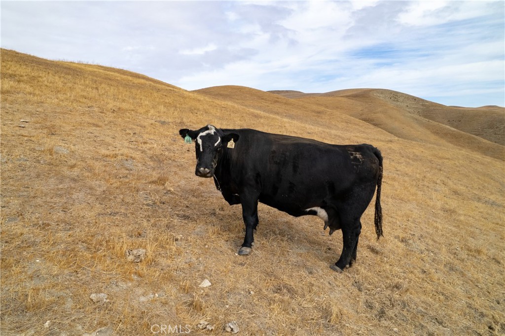 13625 Ea Hwy 46, Paso Robles, CA 93446