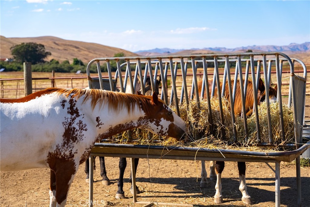 5010 Cabrillo, Cayucos, CA 93430