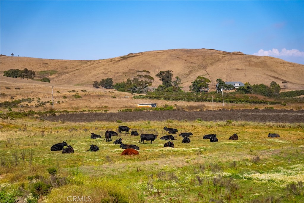 5010 Cabrillo, Cayucos, CA 93430