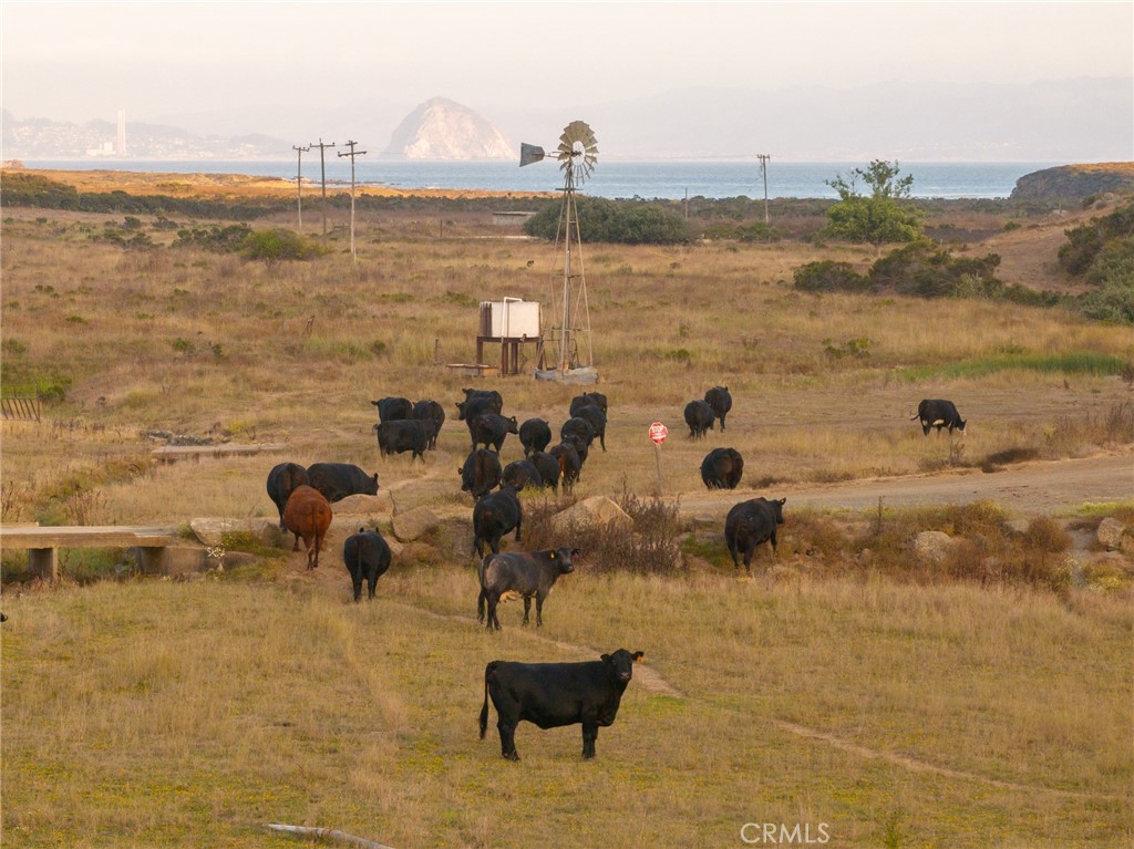 5010 Cabrillo, Cayucos, CA 93430