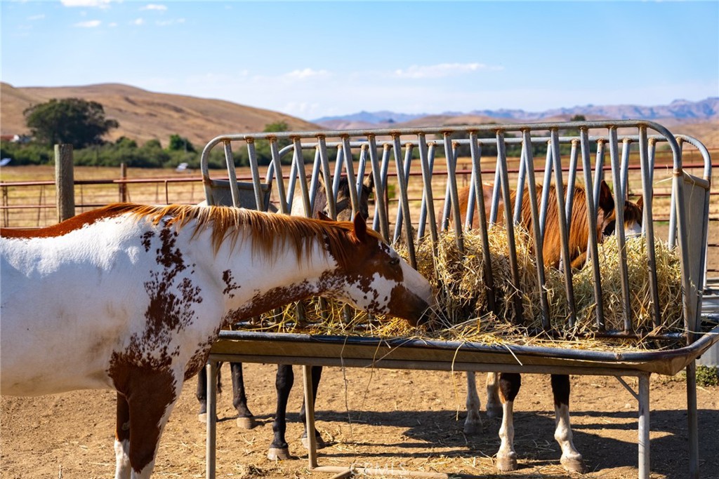 5010 Cabrillo, Cayucos, CA 93430