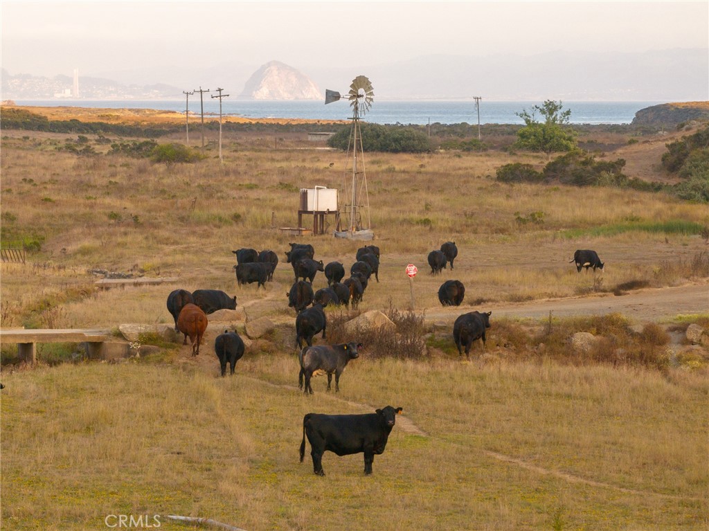 5010 Cabrillo, Cayucos, CA 93430
