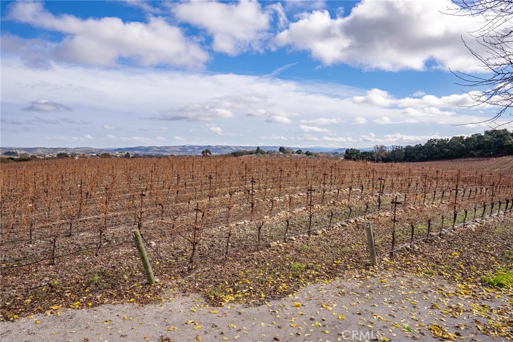 2135 Live Oak Rd, Paso Robles, CA 93446