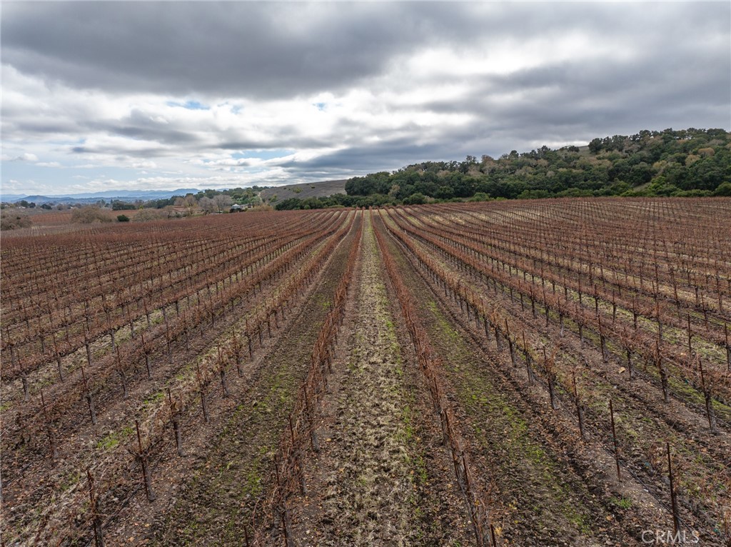 2135 Live Oak Rd, Paso Robles, CA 93446