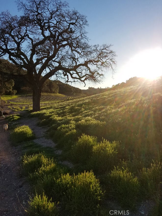 115 Booker Rd, Templeton, CA 93465