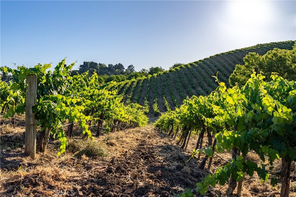 9480 Chimney Rock Rd, Paso Robles, CA 93446