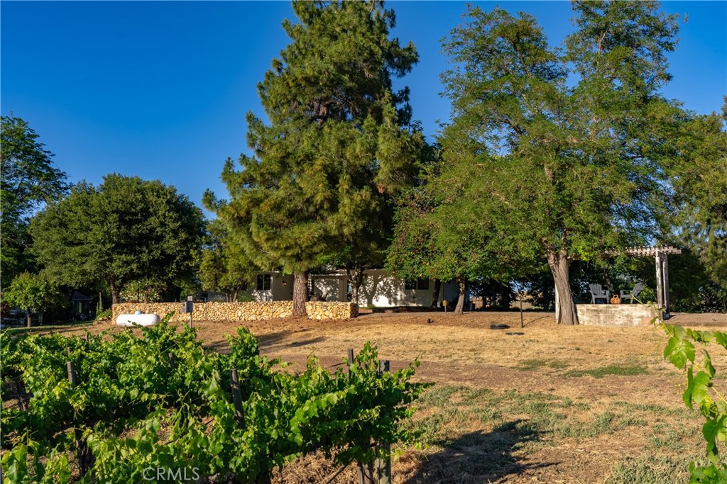 9480 Chimney Rock Rd, Paso Robles, CA 93446