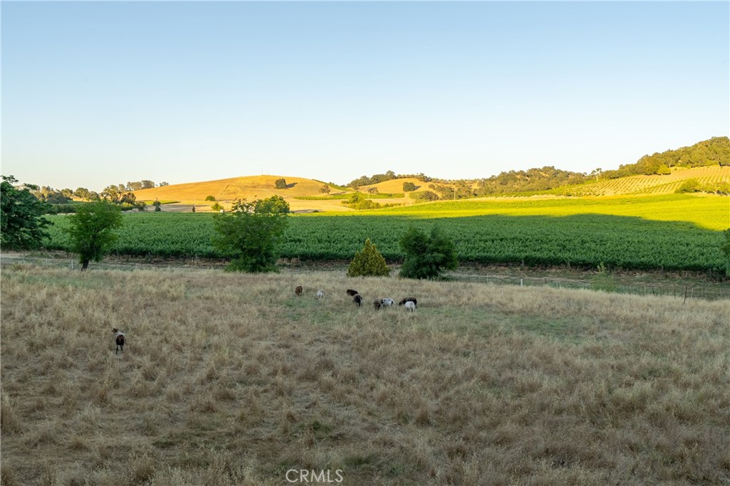 9480 Chimney Rock Rd, Paso Robles, CA 93446