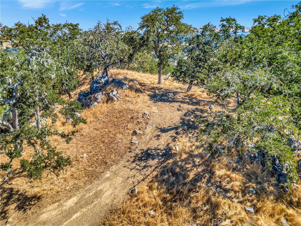 6452 Alta Pradera Ln, Atascadero, CA 93422