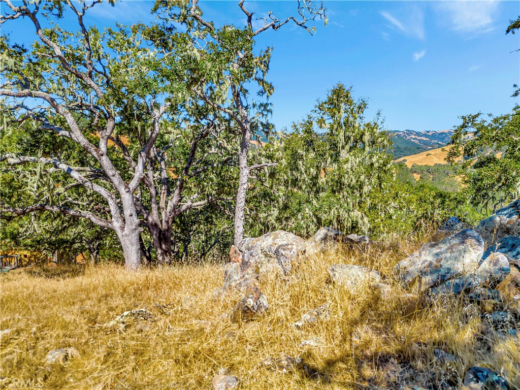 6452 Alta Pradera Ln, Atascadero, CA 93422