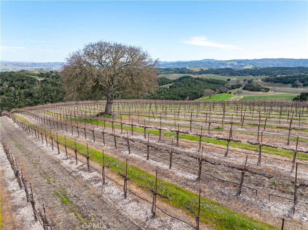 2867 Township Road, Paso Robles, CA 93446
