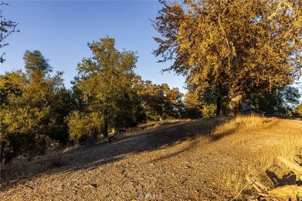 5503 Whispering Pines Ln, Paso Robles, CA 93446