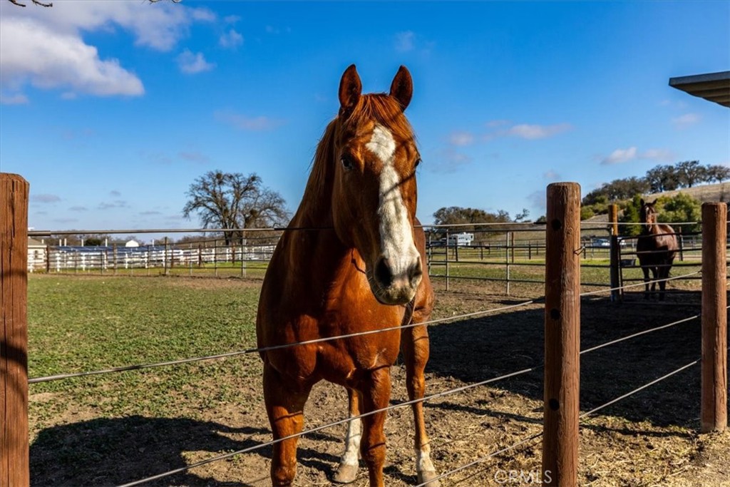 4310 Almond Dr, Templeton, CA 93465