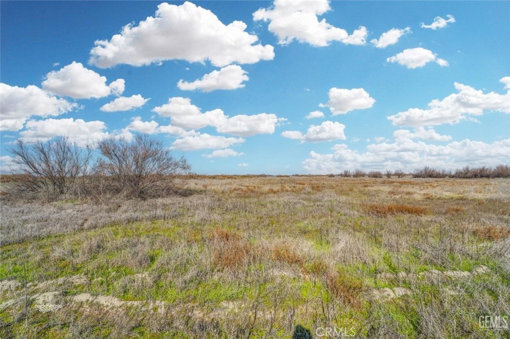 11484 Corcoran Rd, Wasco, CA 93280