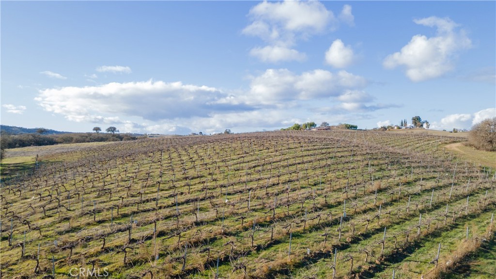 390 San Marcos Rd, Paso Robles, CA 93446