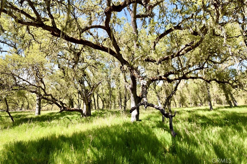 0 Gateway Dr, Paso Robles, CA 93446