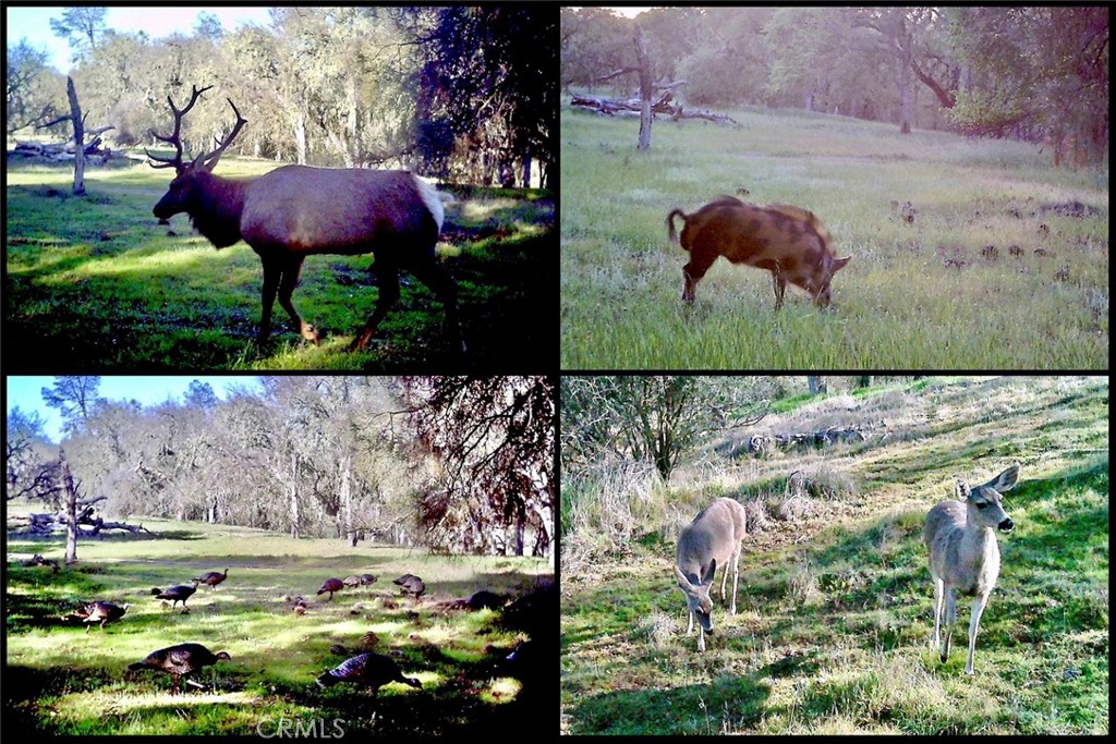 0 Gateway Dr, Paso Robles, CA 93446