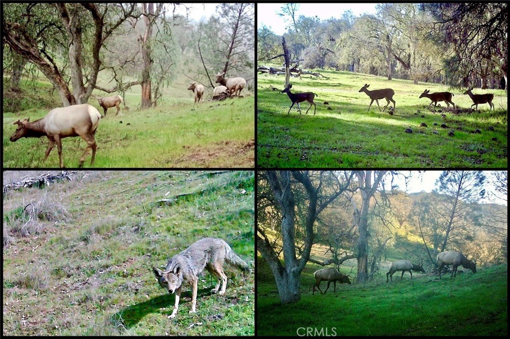 0 Gateway Dr, Paso Robles, CA 93446