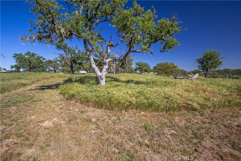 930 Windwood Rd, Paso Robles, CA 93446