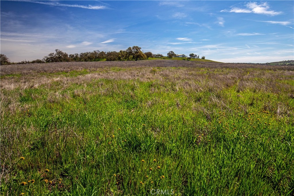 930 Windwood Rd, Paso Robles, CA 93446