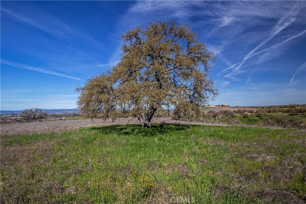 930 Windwood Rd, Paso Robles, CA 93446