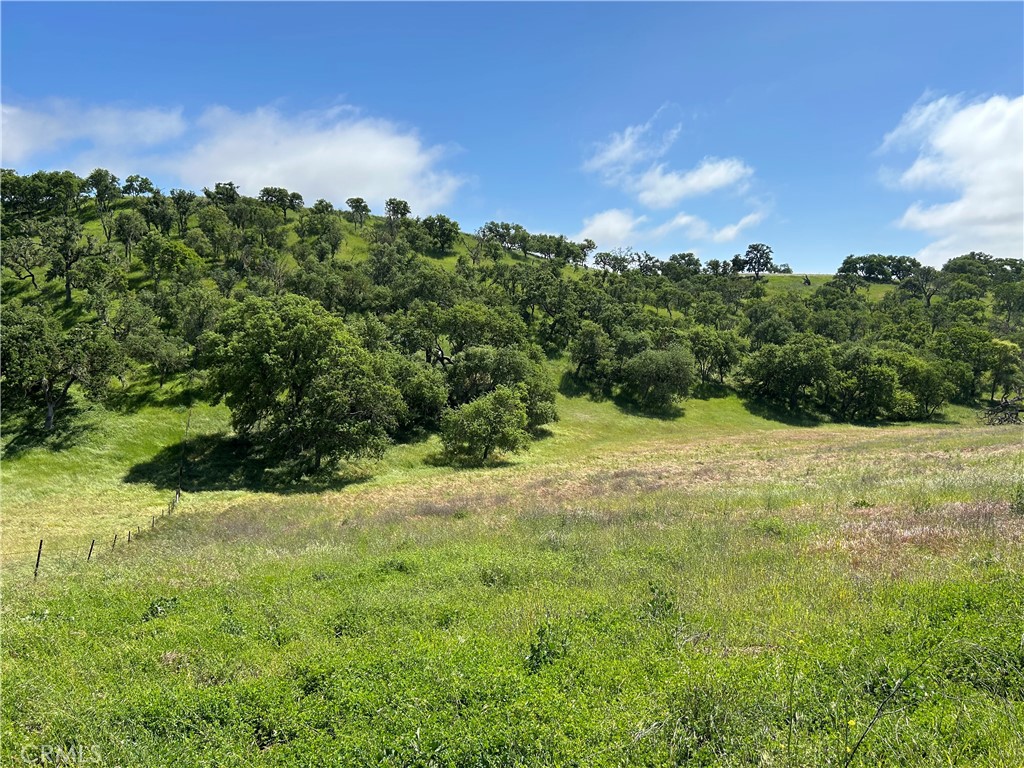 1975 Hidden Acre Ln, Paso Robles, CA 93446