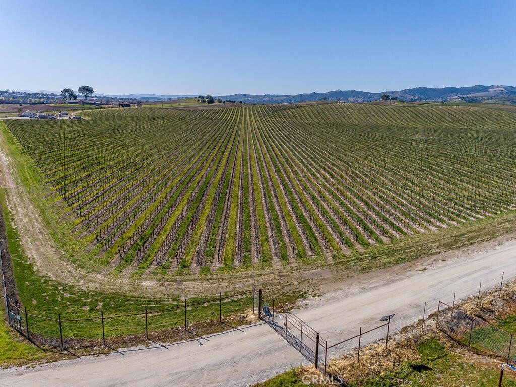 3925 Buena Vista Dr, Paso Robles, CA 93446