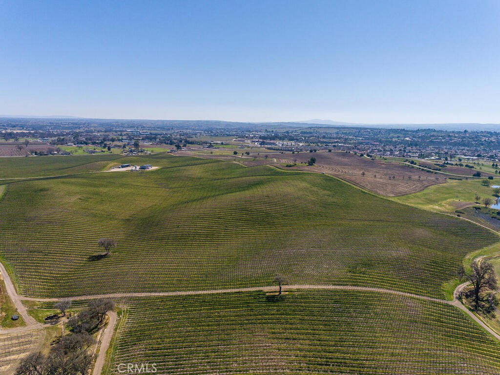 3925 Buena Vista Dr, Paso Robles, CA 93446
