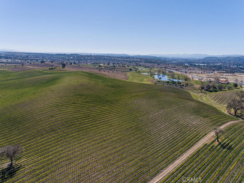 3925 Buena Vista Dr, Paso Robles, CA 93446