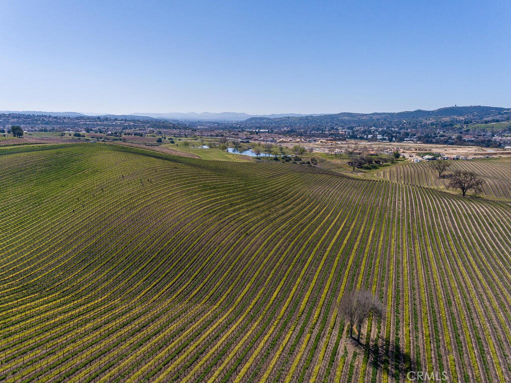 3925 Buena Vista Dr, Paso Robles, CA 93446