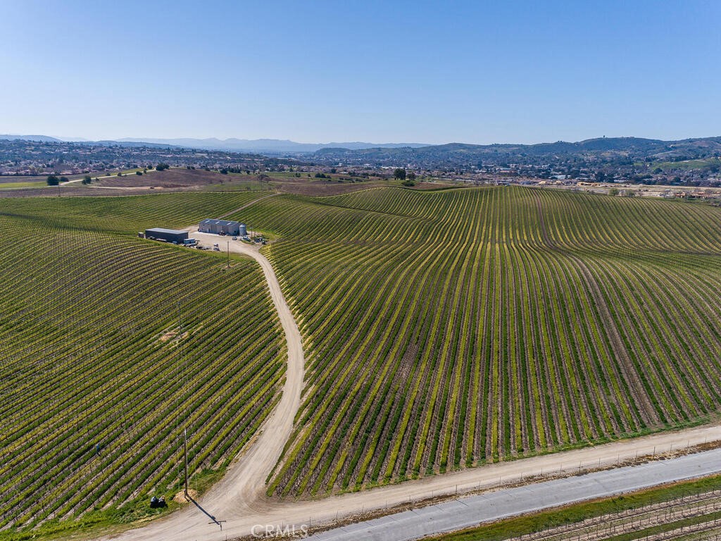 3925 Buena Vista Dr, Paso Robles, CA 93446