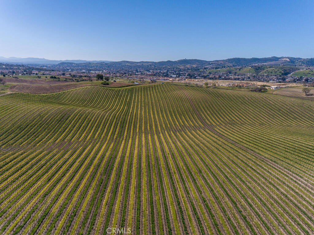 3925 Buena Vista Dr, Paso Robles, CA 93446