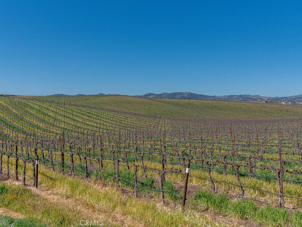 3925 Buena Vista Dr, Paso Robles, CA 93446