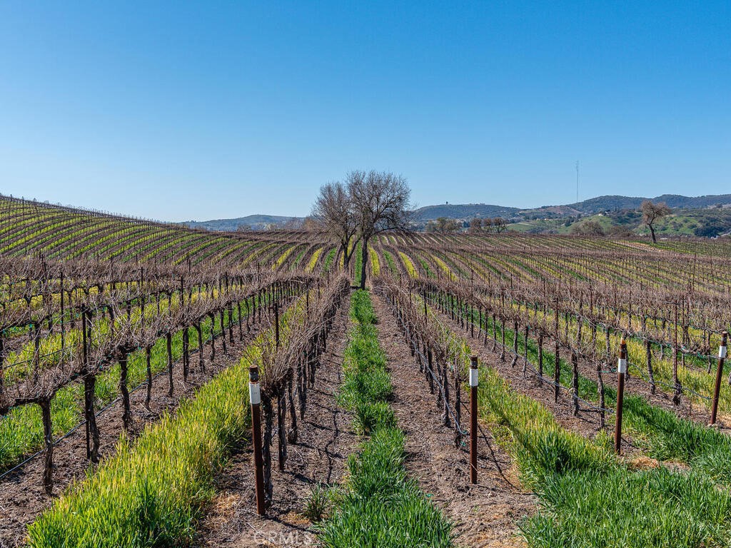 3925 Buena Vista Dr, Paso Robles, CA 93446