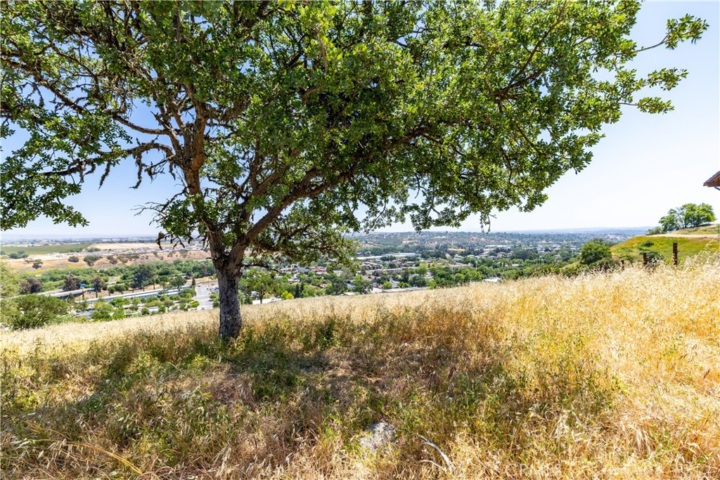 437 Calle Alto St, Paso Robles, CA 93446