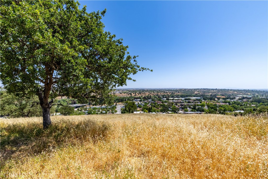 437 Calle Alto St, Paso Robles, CA 93446