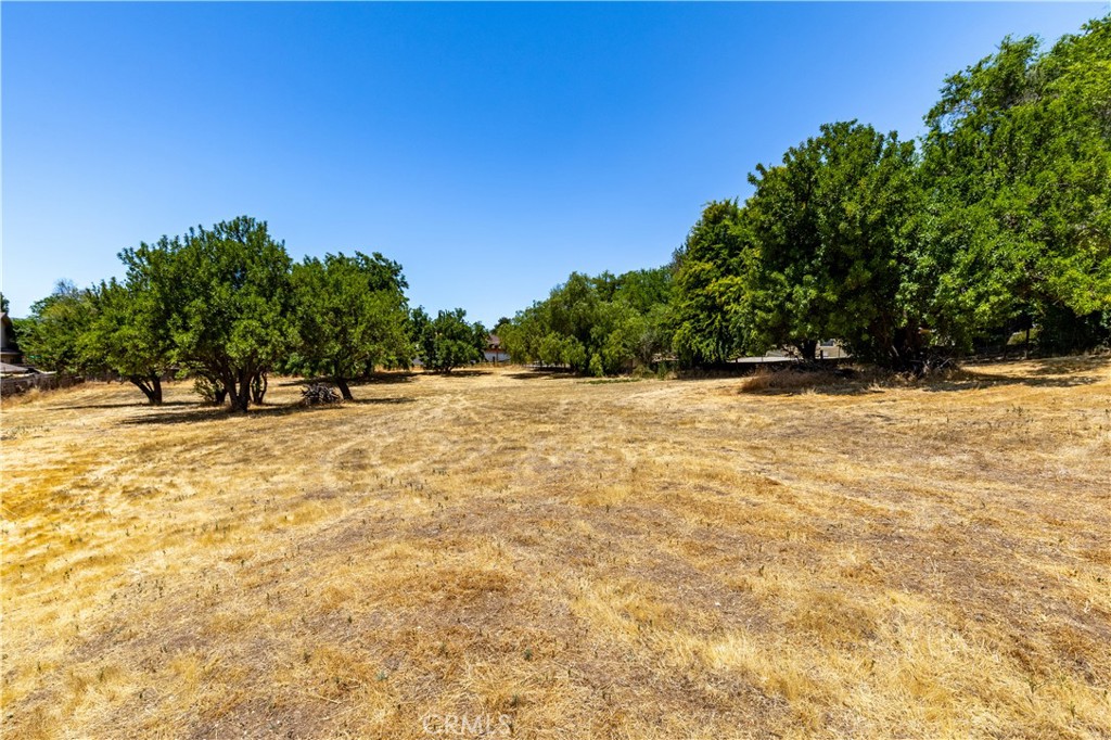 715 Orchard Dr, Paso Robles, CA 93446