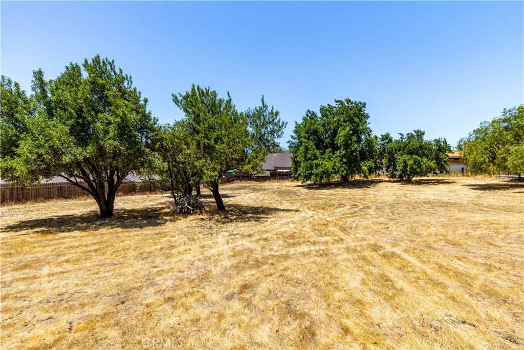 715 Orchard Dr, Paso Robles, CA 93446