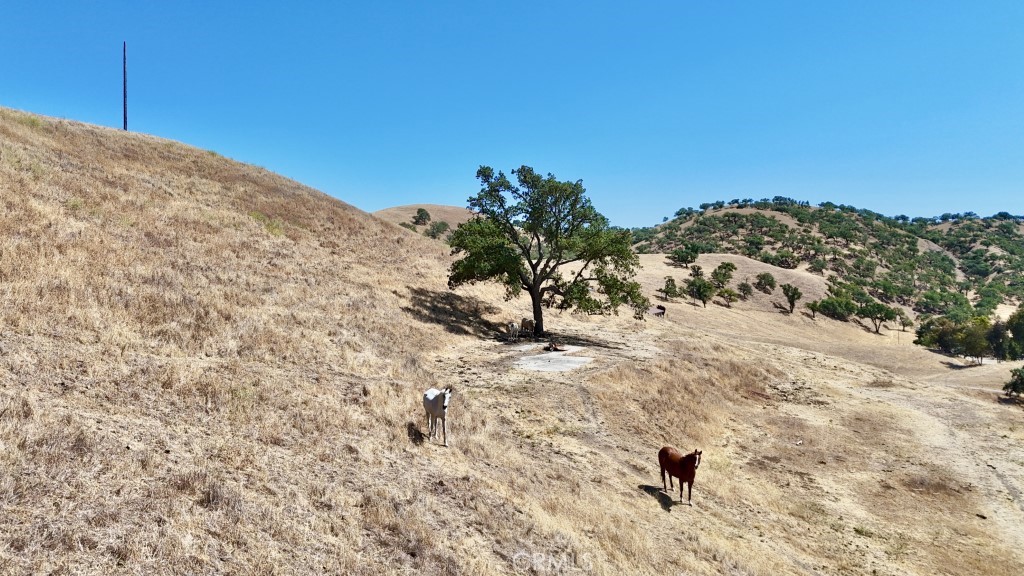 1924 Surrey Way, Paso Robles, CA 93446