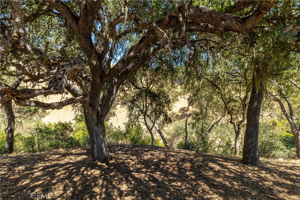 4276 Skylink Ln, Paso Robles, CA 93446