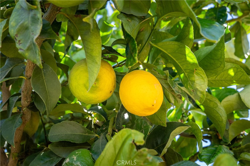 5502 Los Ranchos Rd, San Luis Obispo, CA 93401