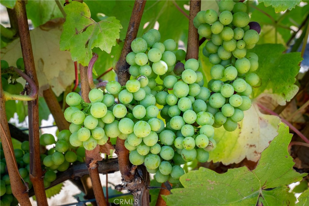 5502 Los Ranchos Rd, San Luis Obispo, CA 93401