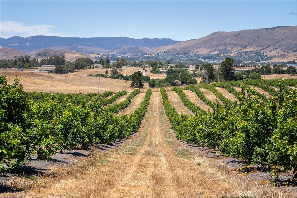 5502 Los Ranchos Rd, San Luis Obispo, CA 93401