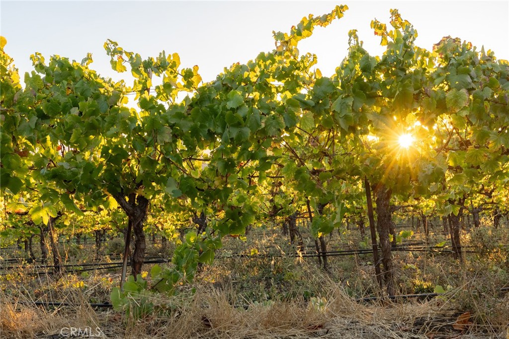 5502 Los Ranchos Rd, San Luis Obispo, CA 93401