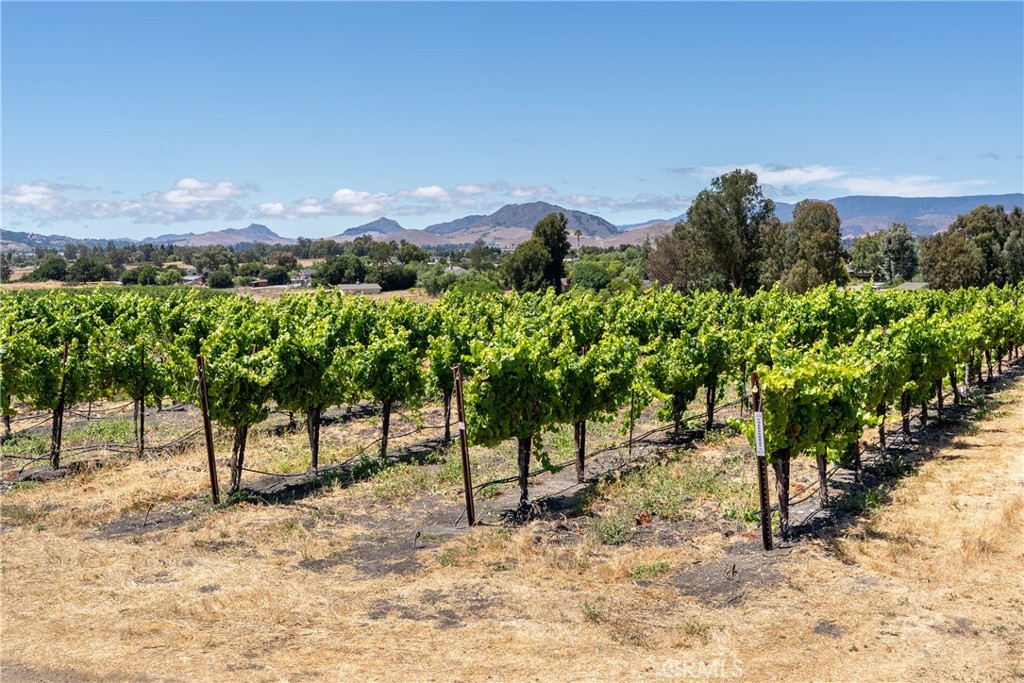 5502 Los Ranchos Rd, San Luis Obispo, CA 93401